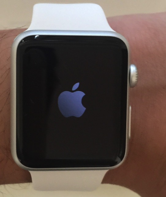 Apple watch battery 2